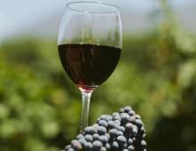 Вина Риохи (Rioja wine) – дух Испании в бокале